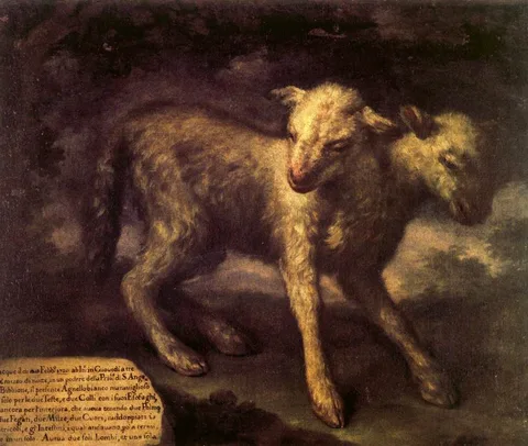 Bartolomeo Bimbi, Two-headed Lamb