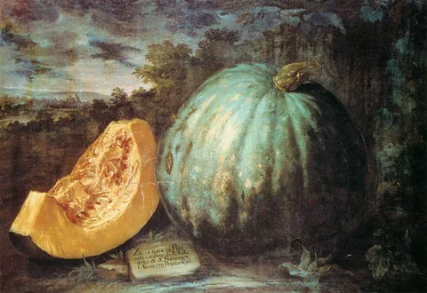 Bartolomeo Bimbi, The Pumpkin