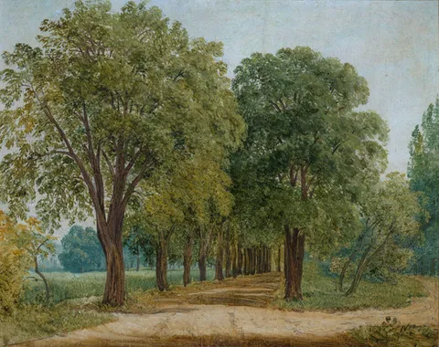 Antonín Mánes, Path