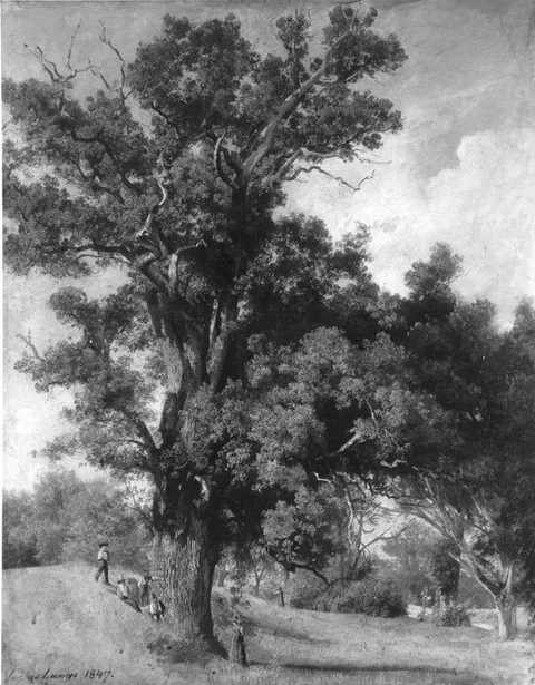 Julius Lange, Untitled