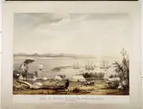 Thomas Allom, View of Nelson Haven, in Tasman's Gulf, New Zealand, including a part of the site of the intended town of Nelson.