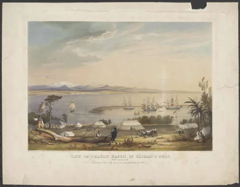 Thomas Allom, View of Nelson Haven, Tasman's Gulf, New Zealand, including a part of the site of the intended town of Nelson
