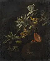 Elias van den Broeck, Still Life with Passionflowers