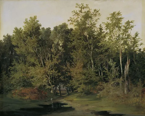Anton Altmann, Forest landscape in Lower Austria
