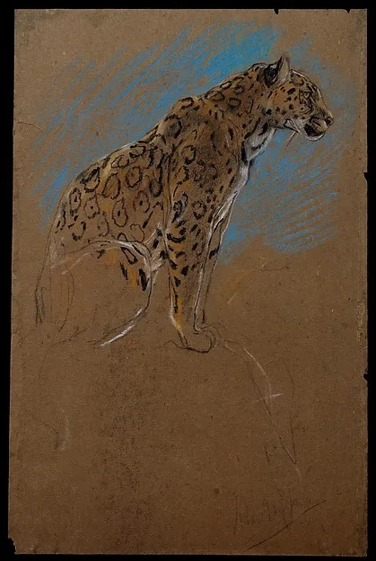 John Macallan Swan, Study of a Jaguar