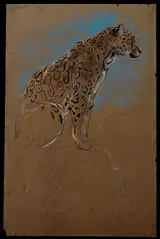 John Macallan Swan, Study of a Jaguar