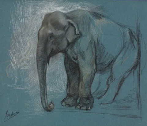 John Macallan Swan, Study of an Elephant