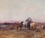 Henri Emilien Rousseau, Sur les hauts plateaux algériens, le soir