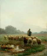 Ferdinand Chaigneau, Sheep