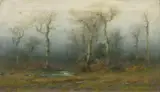 Christopher Shearer, Landscape