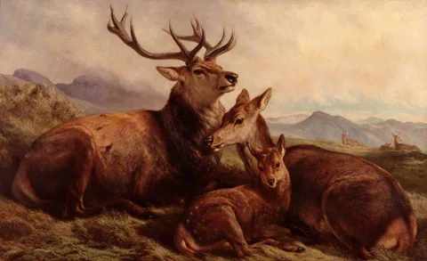 Samuel John Carter, Morning with the Wild Red Deer