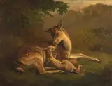 Samuel John Carter, Deer and a Fawn