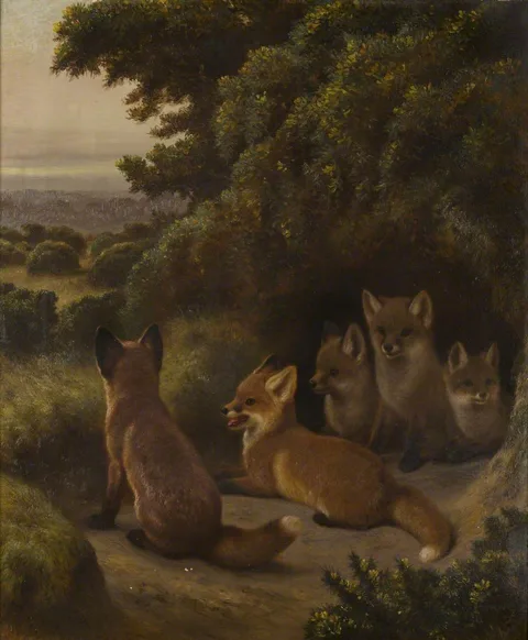 Samuel John Carter, A Litter of Fox Cubs