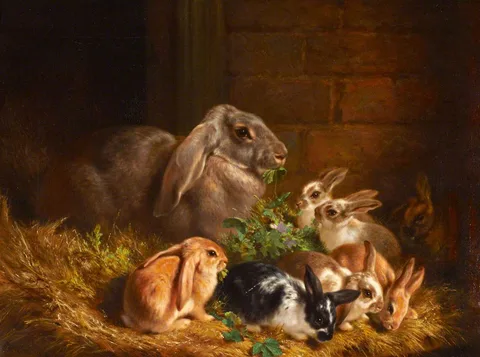 Samuel John Carter, Rabbits