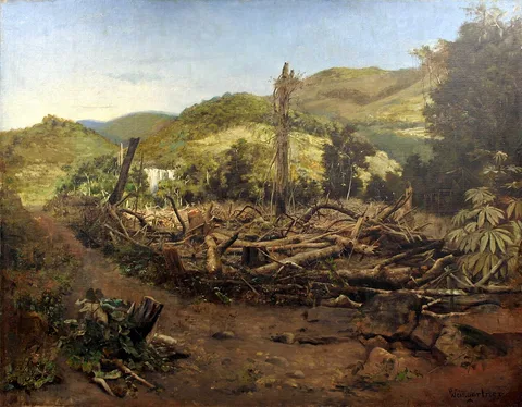 Pedro Weingärtner, Felling of trees