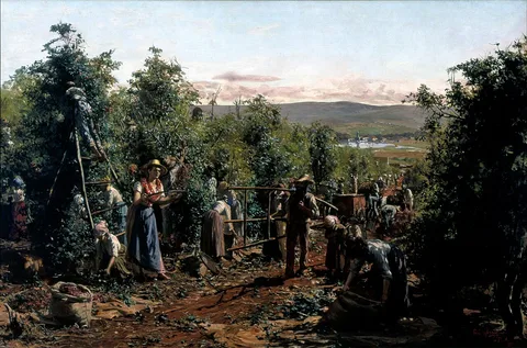Antonio Ferrigno, A colheita