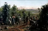 Antonio Ferrigno, A colheita