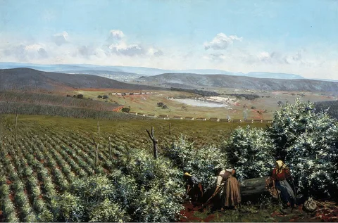 Antonio Ferrigno, Flowering
