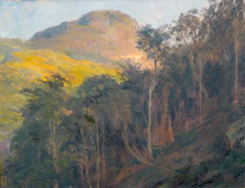 Lucílio de Albuquerque, Landscape