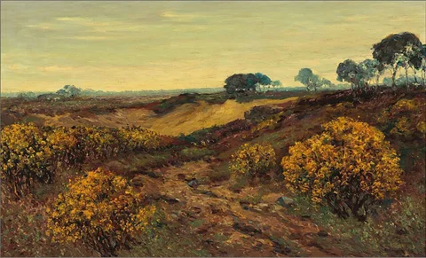 Anton Dirckx, Blooming Broom