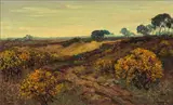 Anton Dirckx, Blooming Broom