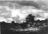 Louis Neubert, Untitled