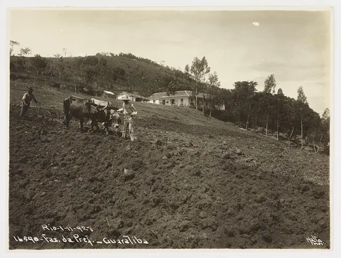 Augusto Malta, Fazenda da Prefeitura em Guaratiba