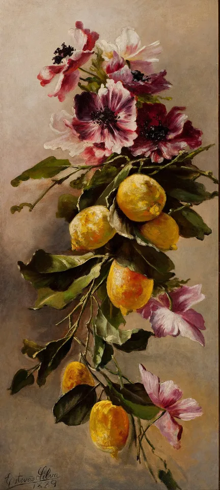 Estêvão Silva, Still Life