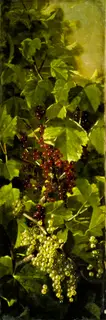 Edward Chalmers Leavitt, Still Life with Currant
