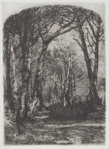 Mosè Bianchi, Bosco [Woods]