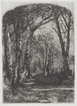 Mosè Bianchi, Bosco [Woods]