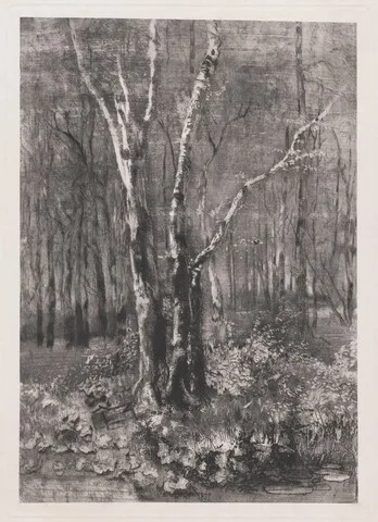 Mosè Bianchi, Woods in the Park near Monza