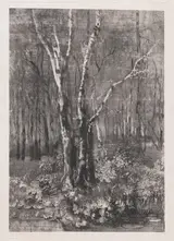 Mosè Bianchi, Woods in the Park near Monza