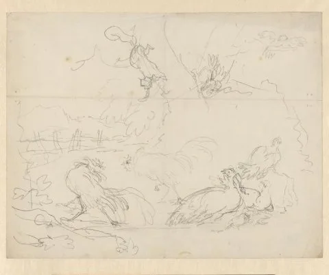 Aert Schouman, Studies van vechtende hanen en kippen