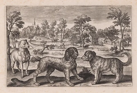 Adriaen Collaert, Three Dogs, plate 9 from a set of Four Legged Animals