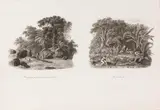 Christian Haldenwang, Navigation par dessus les rochers d´Ilheós