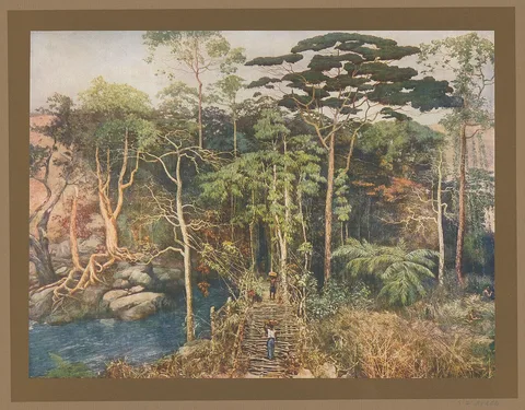 Paul Mathieu, Vine bridge and rainforest