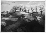Reinhold Max Eichler, Untitled