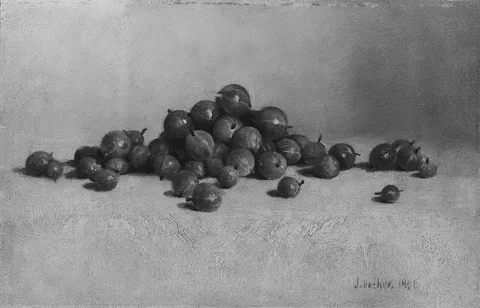 Joseph Decker, Gooseberries