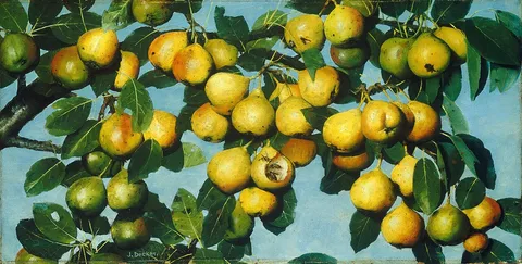 Joseph Decker, Ripening Pears