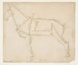 Andrea del Verrocchio, Measured Drawing of a Horse Facing Left (recto)