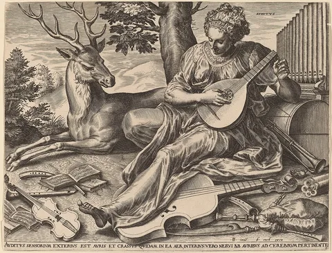 Cornelis Cort, Auditus