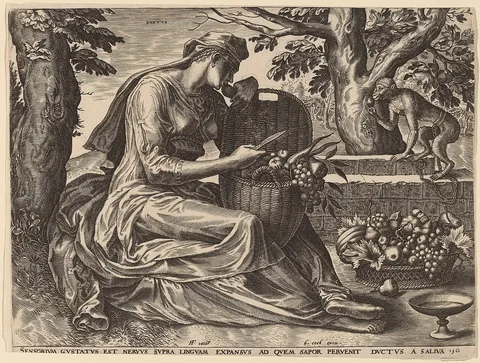 Cornelis Cort, Gustus