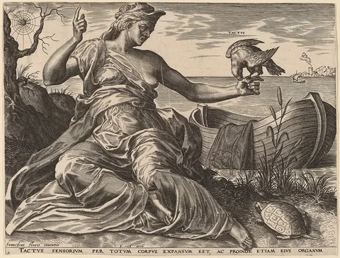 Cornelis Cort, Tactus