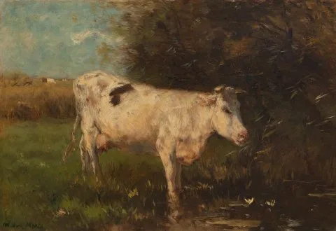 Willem Maris, White Cow