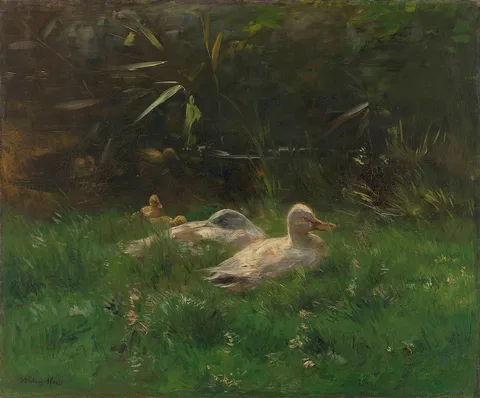 Willem Maris, Ducks