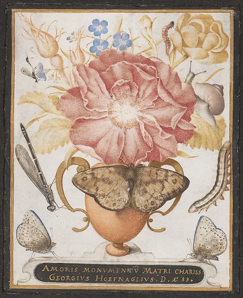 Joris Hoefnagel, Still Life with Flowers, a Snail and Insects
