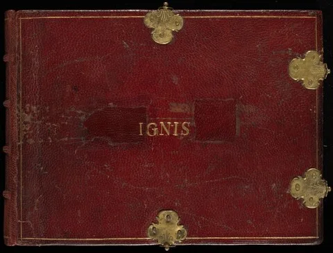 Joris Hoefnagel, Animalia Rationalia et Insecta (Ignis)