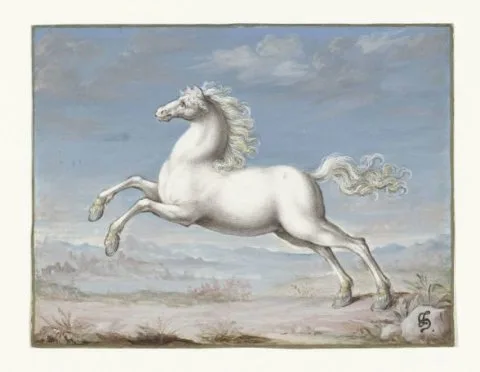 Joris Hoefnagel, Wit paard