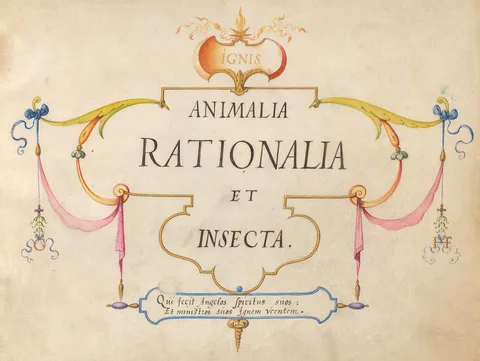 Joris Hoefnagel, Animalia Rationalia et Insecta (Ignis):  Title Page